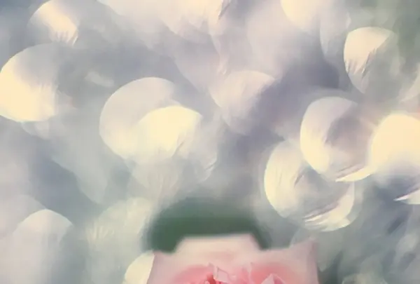 キヤノンサロンSの写真・動画_image_145250