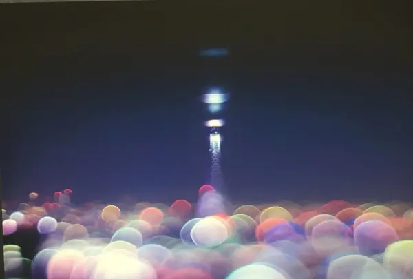 キヤノンサロンSの写真・動画_image_145254