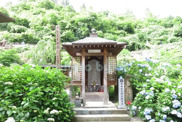 堂森善光寺の写真・動画_image_145296