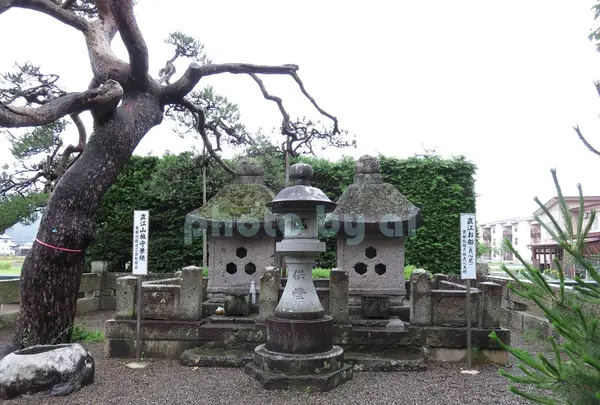 春日山林泉寺の写真・動画_image_145299
