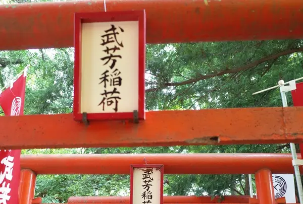 鬼子母神堂の写真・動画_image_145347