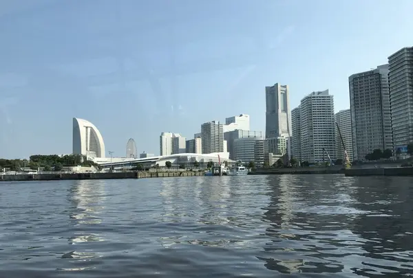 シーバスの写真・動画_image_145367