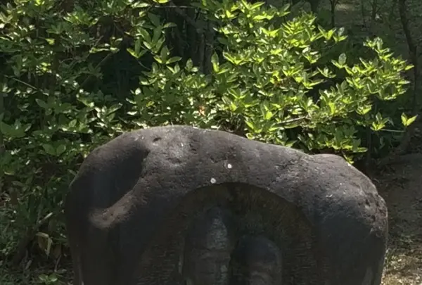 ヤマキ醸造の写真・動画_image_145583