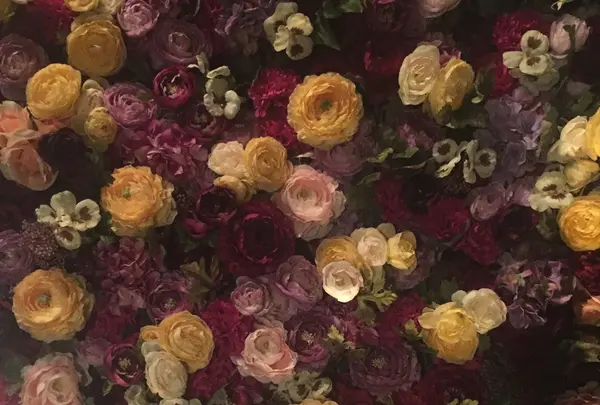 エッセンス カフェ （essence cafe）の写真・動画_image_145599