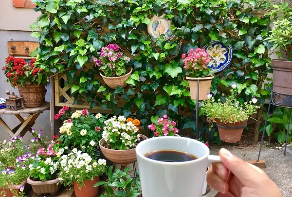 冨久豆の写真・動画_image_145644