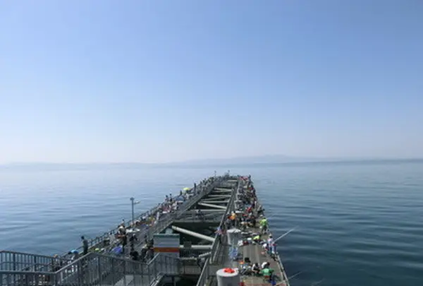 岬町海釣り公園　とっとパーク小島の写真・動画_image_145647