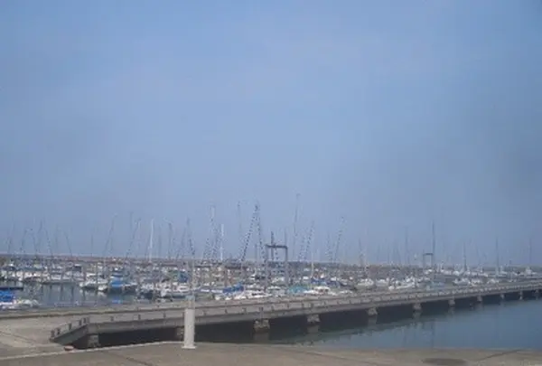 淡輪ヨットハーバーの写真・動画_image_145648