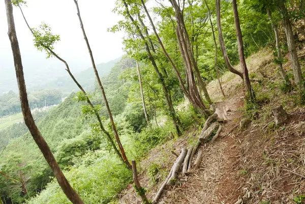 天空の遊歩道 岐阜のマチュピチュ ビュースポットの写真・動画_image_145955