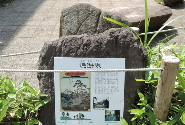 戸塚宿 ほのぼの商和会の写真・動画_image_146147