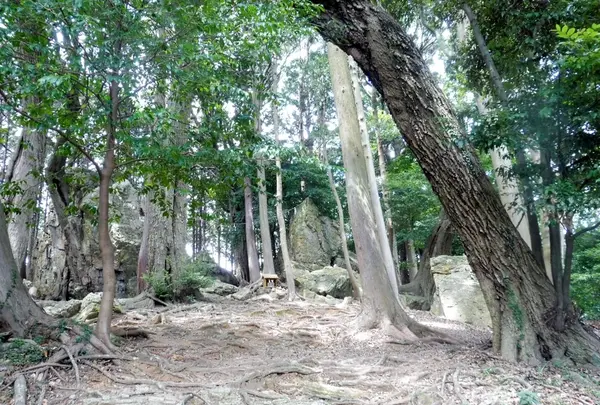 渭伊神社の写真・動画_image_146176