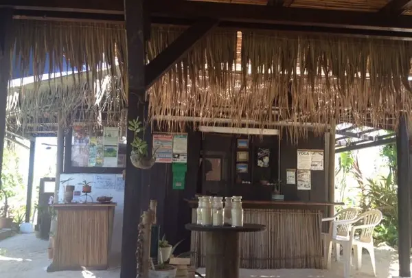 Pani Paniの写真・動画_image_146238