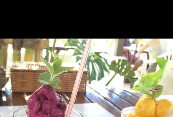 Pani Paniの写真・動画_image_146239