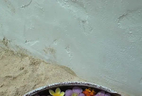 Pani Paniの写真・動画_image_146240