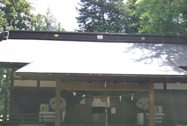 山家神社の写真・動画_image_146380