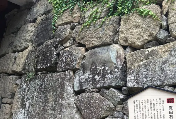 上田城跡公園の写真・動画_image_146395