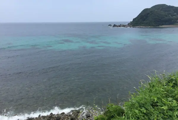 宗像大社沖津宮遙拝所の写真・動画_image_146503