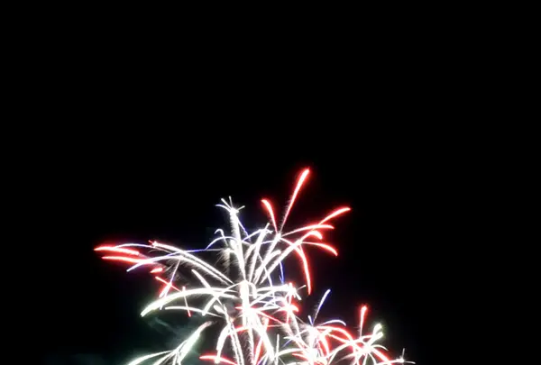 越前夏まつり「花火大会」の写真・動画_image_146527