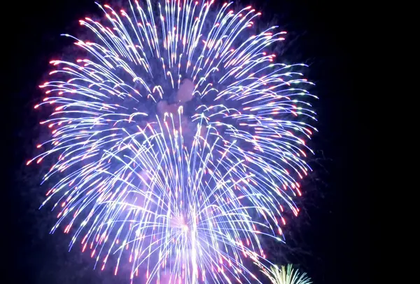 越前夏まつり「花火大会」の写真・動画_image_146528