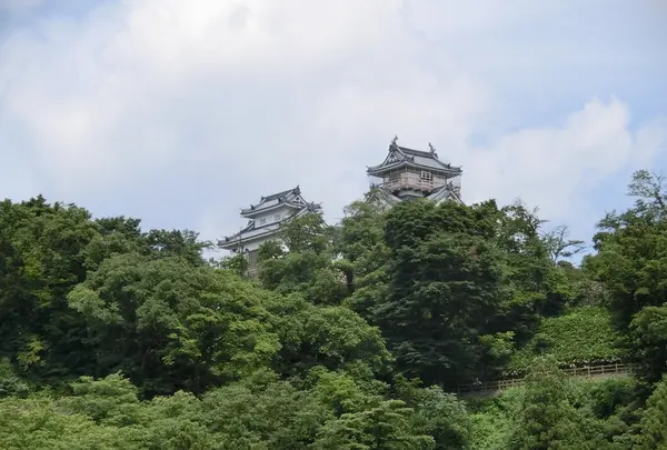 越前大野城の写真・動画_image_146535