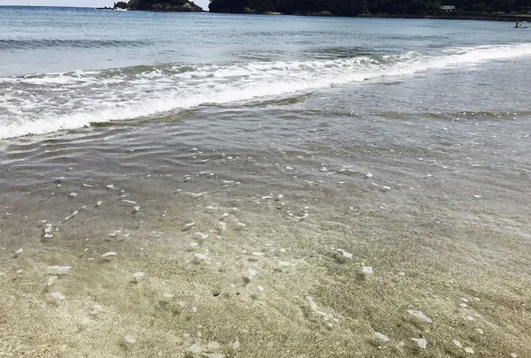 弓ヶ浜の写真・動画_image_146573