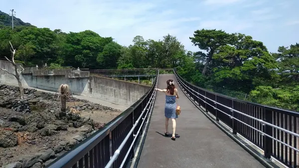大島公園動物園の写真・動画_image_146575