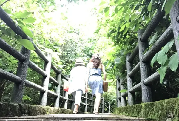 三原山の写真・動画_image_146580