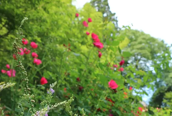 円通院の写真・動画_image_146614