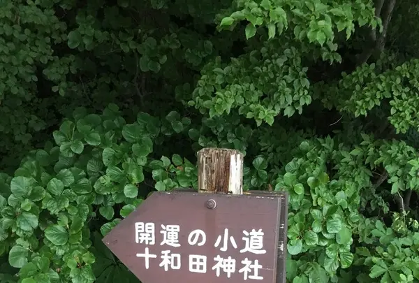 十和田神社の写真・動画_image_146621