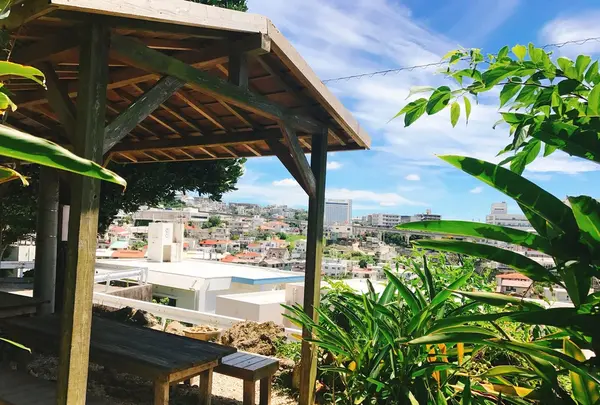 しむじょうの写真・動画_image_146856