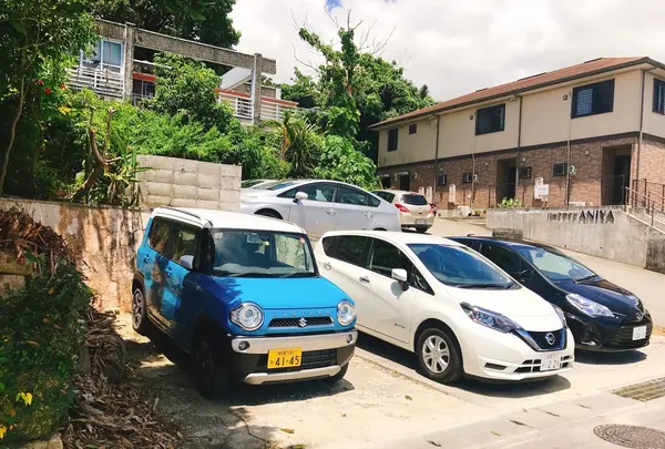 しむじょうの写真・動画_image_146857