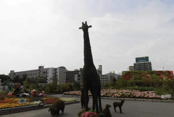 【閉園】うめきたガーデンの写真・動画_image_146894