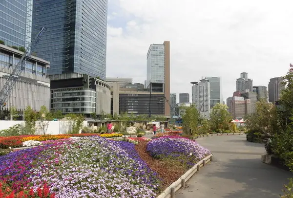 【閉園】うめきたガーデンの写真・動画_image_146895