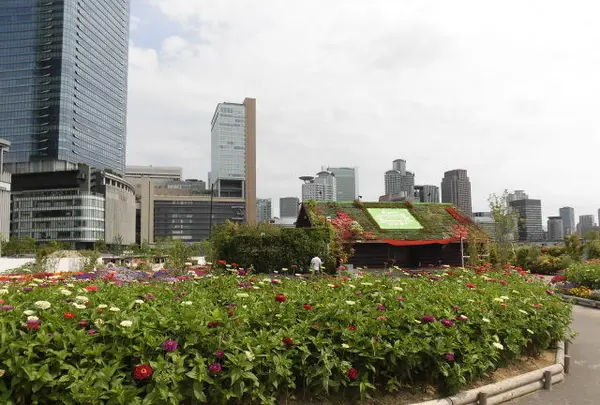 【閉園】うめきたガーデンの写真・動画_image_146897