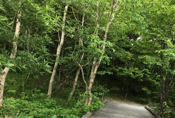 美ヶ原高原美術館の写真・動画_image_146925