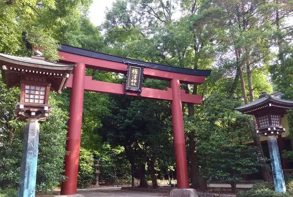 根津神社の写真・動画_image_147121