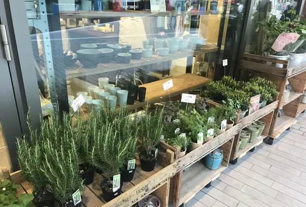 ガーデンズ・マルシェ 二子玉川店の写真・動画_image_147222