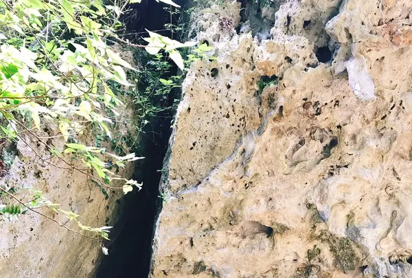 斎場御嶽の写真・動画_image_147238