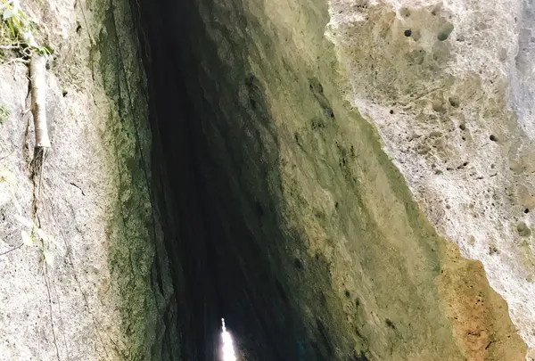 斎場御嶽の写真・動画_image_147239