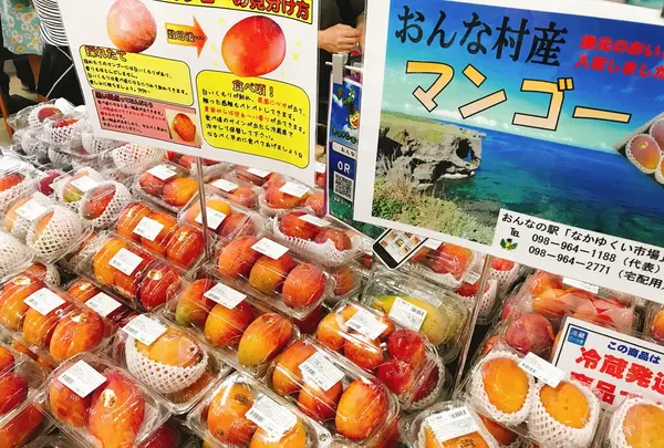 おんなの駅 なかゆくい市場の写真・動画_image_147243