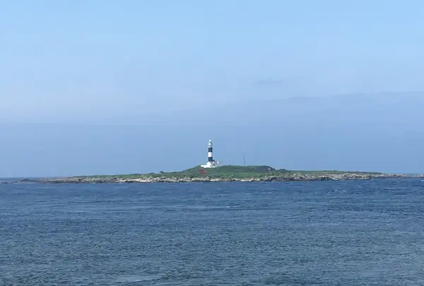 大間崎の写真・動画_image_147288