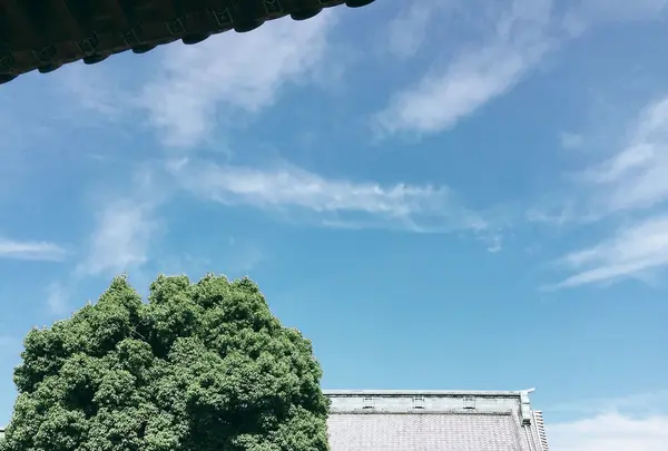 題経寺（柴又帝釈天）の写真・動画_image_147453