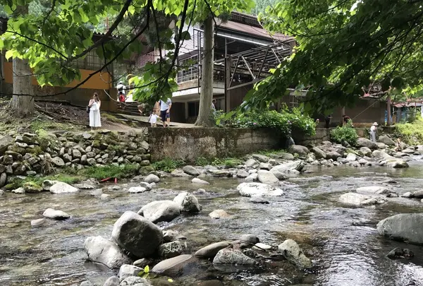 【閉業】滝流しそうめんの写真・動画_image_147591