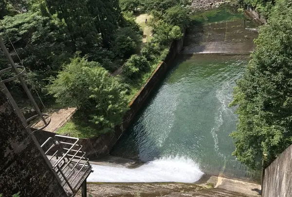 音水湖(引原ダム）の写真・動画_image_147597