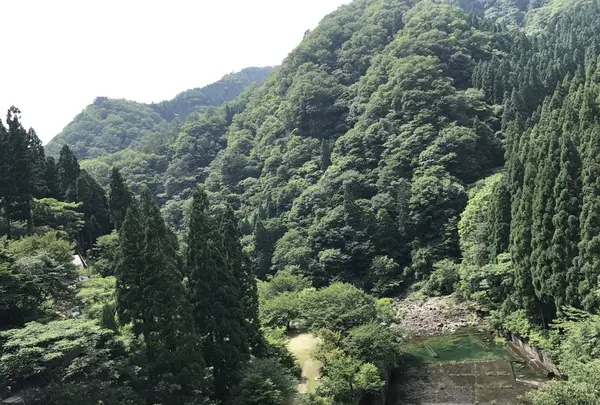 音水湖(引原ダム）の写真・動画_image_147598