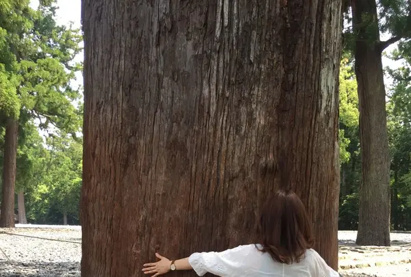 伊勢神宮の写真・動画_image_147637