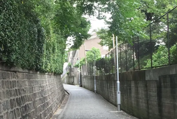 愛染堂勝鬘院（愛染さん）の写真・動画_image_147757