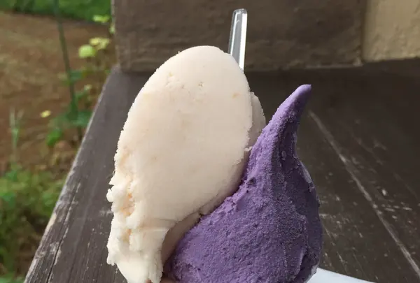 麓ジェラート fumoto gelatoの写真・動画_image_147842