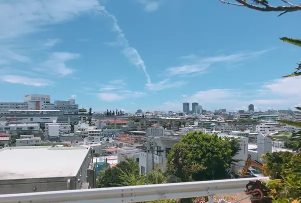 しむじょうの写真・動画_image_147869