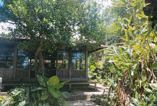 しむじょうの写真・動画_image_147870