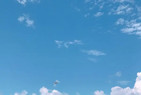 瀬長島の写真・動画_image_147883